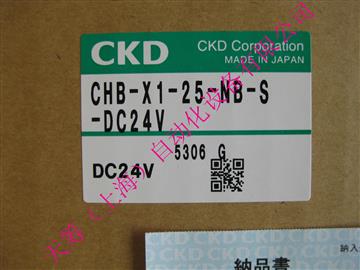 CKDDyCHB-X1-25-NB-S-DC24V